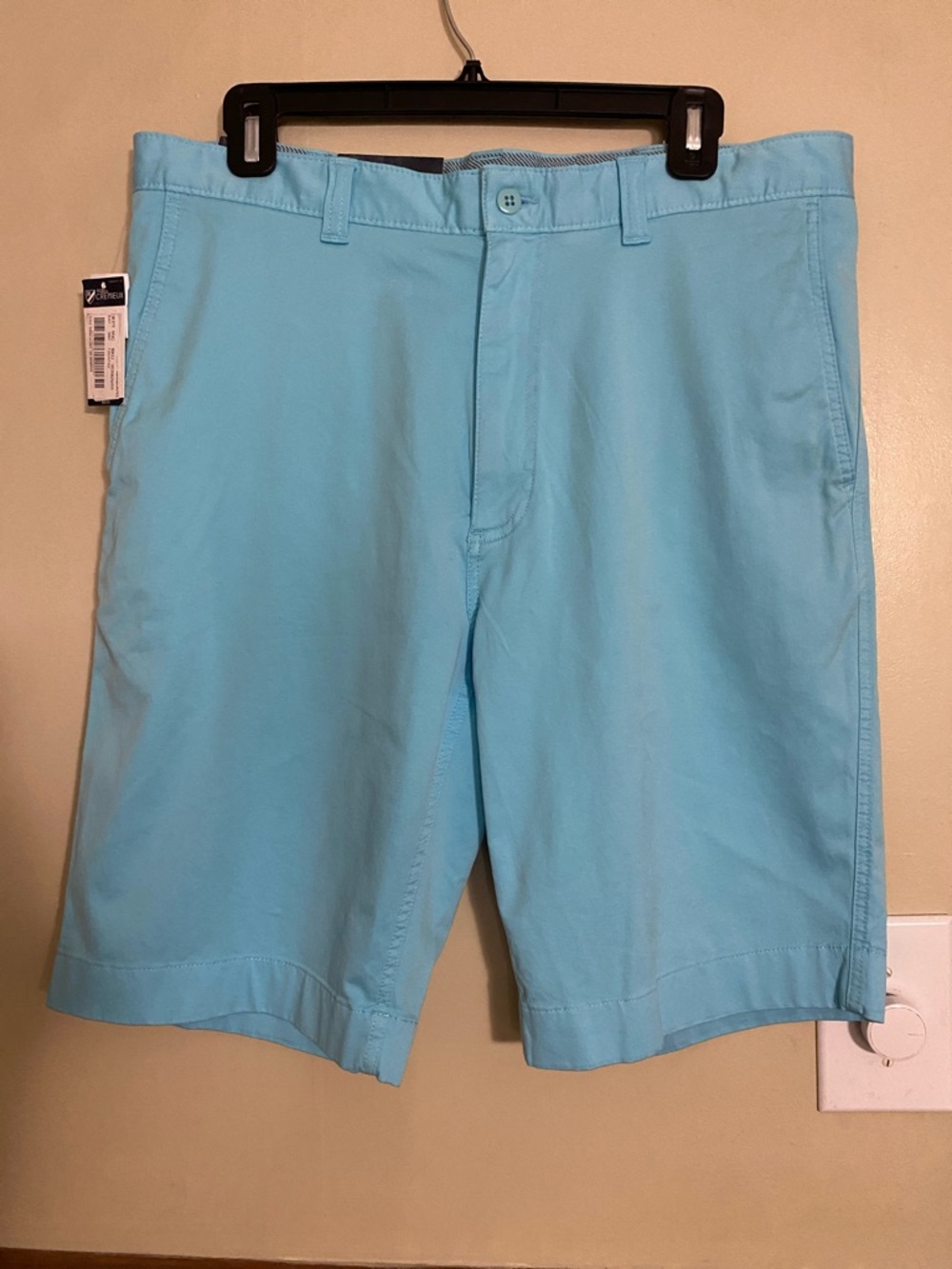 Daniel Cremieux Flat Front Shorts in Light Aqua